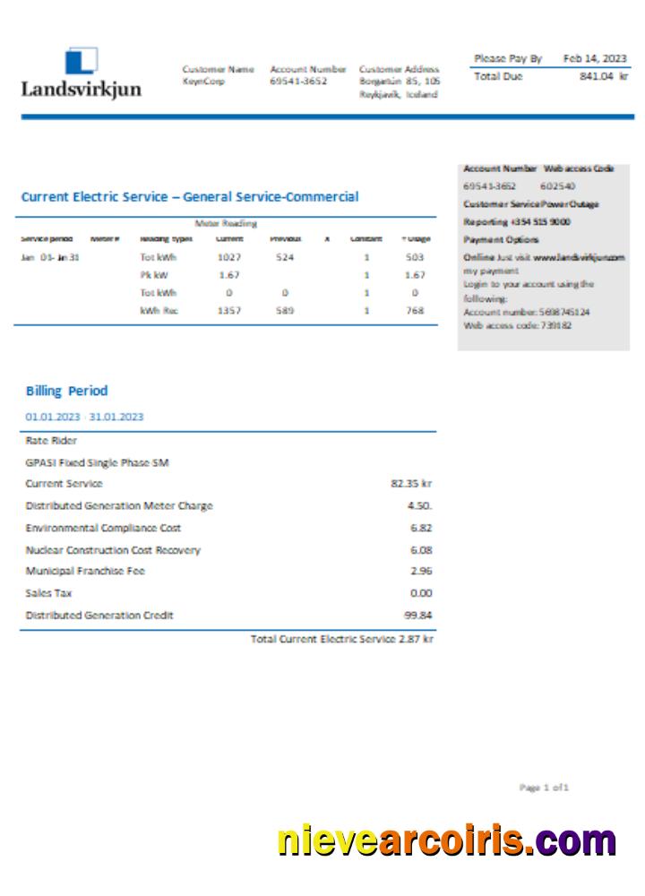 The National Power Company of Iceland Landsvirkjun electricity utility business bill